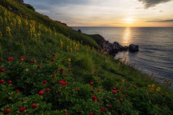 Картинка природа восходы закаты рассвет