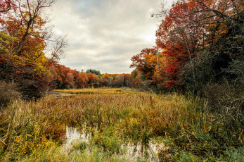 Картинка природа реки озера река лес осень