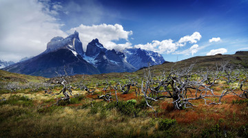 Картинка природа горы вершины долина деревья