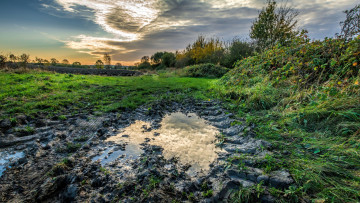 Картинка природа пейзажи следы лужа поле