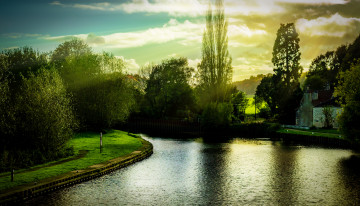 Картинка природа парк река деревья лучи