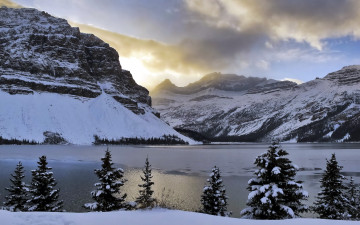 Картинка природа реки озера bow lake mountains snow light clouds trees alberta