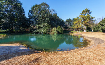 Картинка природа реки озера hangzhou китай солнце небо деревья пруд парк zhejiang