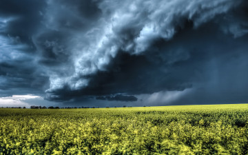 Картинка природа стихия небо поле