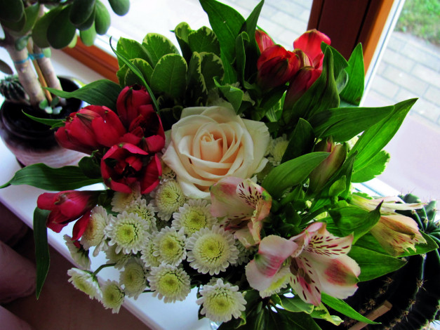 Обои картинки фото цветы, букеты,  композиции, хризантемы, альстромерия, роза