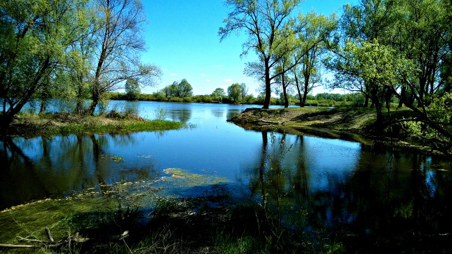 Обои картинки фото озерцо, природа, реки, озера, небо, деревья, вода