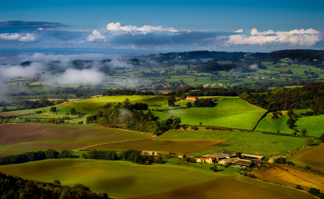 Обои картинки фото природа, поля, деревья, вид, сверху