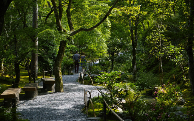 Обои картинки фото природа, парк, лавочки, прогулка, деревья, дорожка