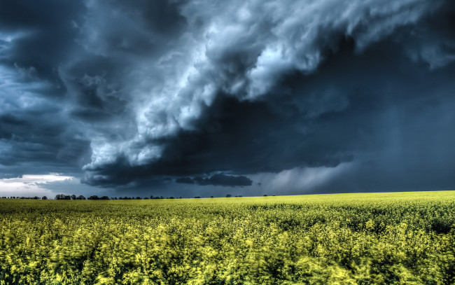 Обои картинки фото природа, стихия, небо, поле