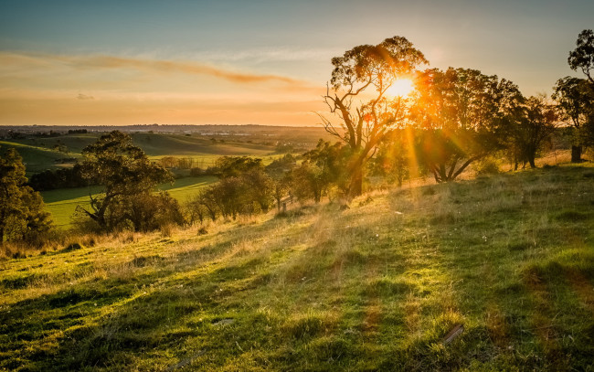 Обои картинки фото природа, восходы, закаты, утро, деревья, свет