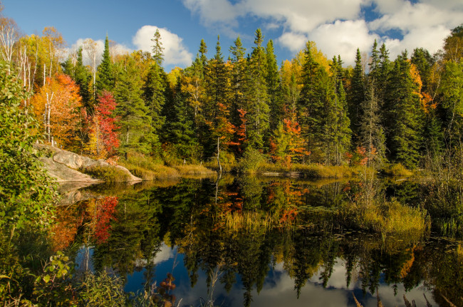 Обои картинки фото природа, реки, озера, река, лес, осень