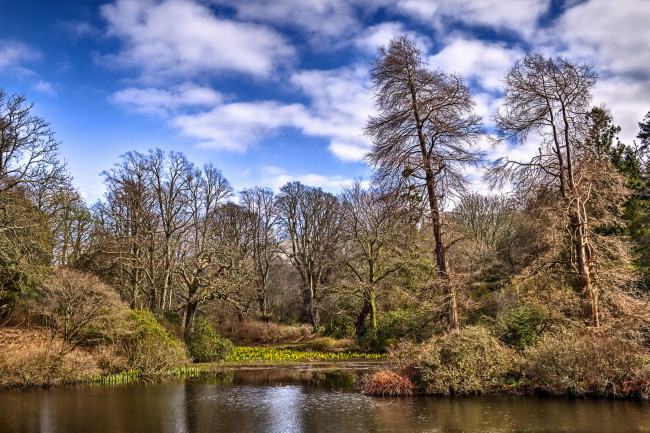 Обои картинки фото природа, реки, озера, лес, река