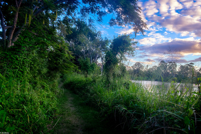 Обои картинки фото природа, дороги, тропинка, река, небо, деревья