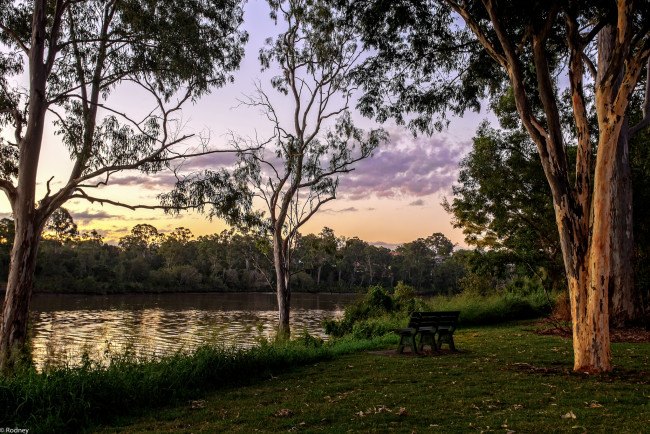 Обои картинки фото природа, парк, небо, деревья