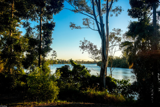 Обои картинки фото природа, реки, озера, река, небо, деревья, вечер