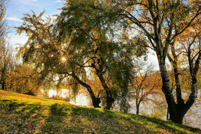 Обои картинки фото природа, восходы, закаты, река, кроны, свет