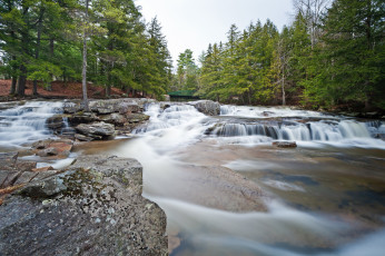 Картинка природа реки озера река лес