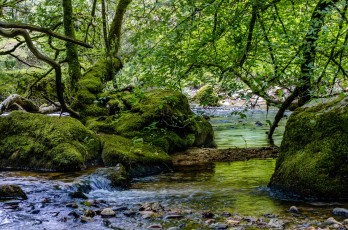 Картинка природа реки озера река лес