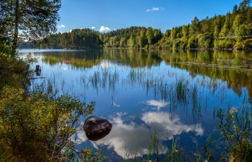 Картинка природа реки озера река лес