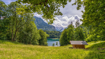 Картинка природа реки озера река лес