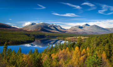 Картинка природа реки озера лес река