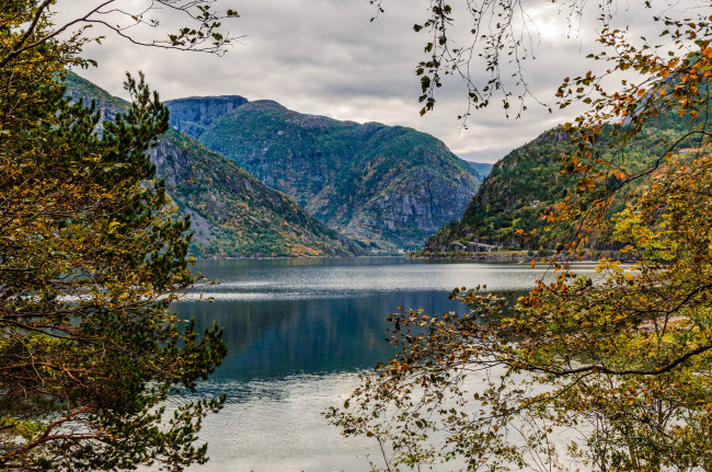 Обои картинки фото природа, реки, озера, лес, река