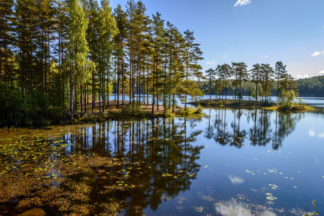 Обои картинки фото природа, реки, озера, река, лес