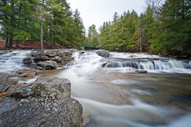 Обои картинки фото природа, реки, озера, река, лес