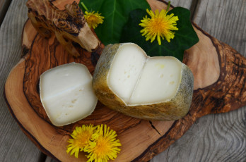 Картинка еда сырные+изделия сыр