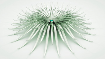 Картинка 3д+графика цветы+ flowers фон узор цвета