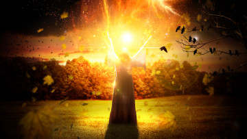 Картинка разное компьютерный+дизайн птицы фон шар девушка