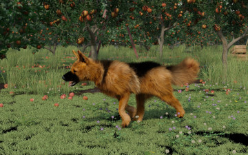 обоя 3д графика, животные , animals, друг, взгляд, собака