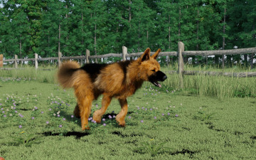 Картинка 3д+графика животные+ animals собака взгляд друг