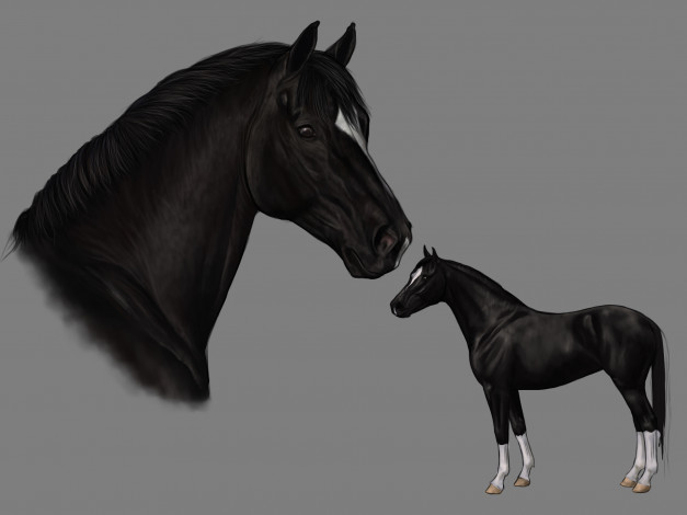 Обои картинки фото рисованное, животные,  лошади, лошадь, фон