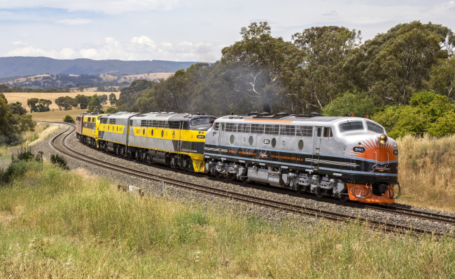 Обои картинки фото техника, поезда, состав, локомотив