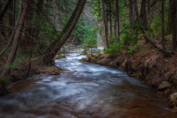 Картинка природа реки озера простор