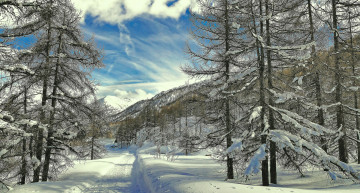 Картинка природа зима простор