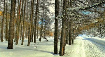 Картинка природа зима простор