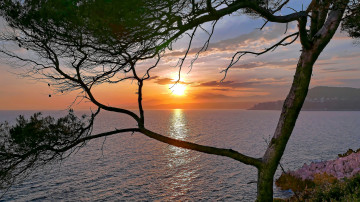 Картинка природа восходы закаты простор