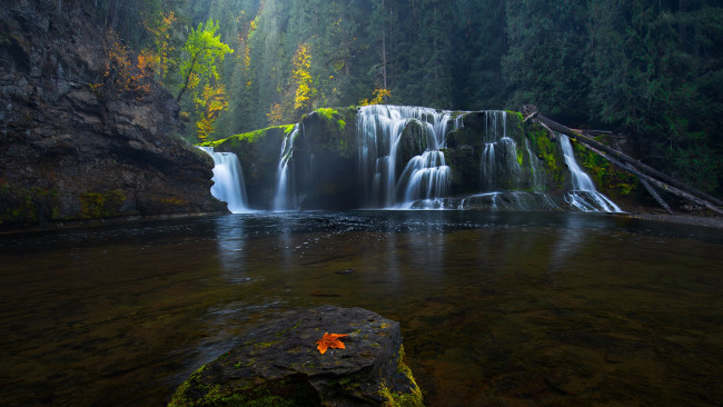 Обои картинки фото природа, водопады, водопад, в, кугар, штат, вашингтон