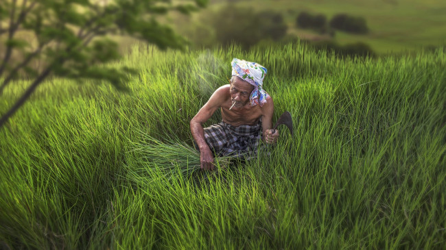 Обои картинки фото мужчины, - unsort, старик, трава, сигарета