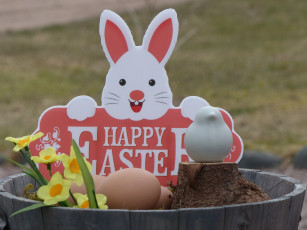 Картинка праздничные пасха бочка пасхальный заяц поздравление