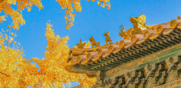 обоя разное, элементы архитектуры, крыша