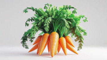 Картинка 3д+графика еда- food морковь