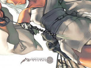 Картинка magna carta видео игры