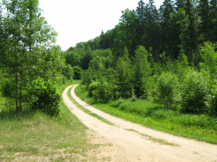 Картинка природа