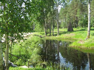 Картинка природа