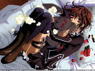 Картинка аниме vampire knight