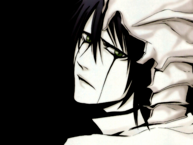 Обои картинки фото аниме, bleach