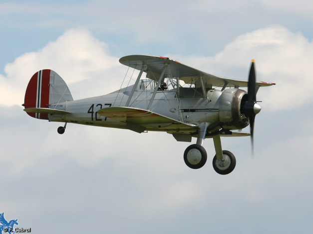 Обои картинки фото авиация, лёгкие, одномоторные, самолёты